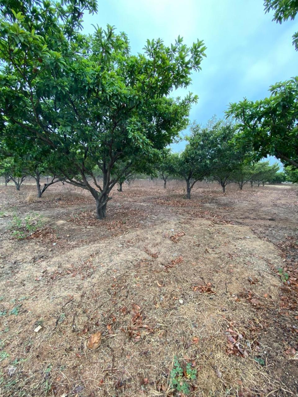 Pn Farm Villa Hyderabad Luaran gambar
